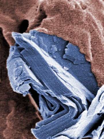 «Graphene Flagship»: EU-Forschungsinitiative mit Empa Beteiligung