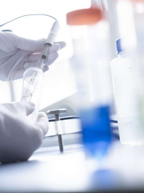 Veröffentlichung im renommierten Wissenschaftsmagazin Nature