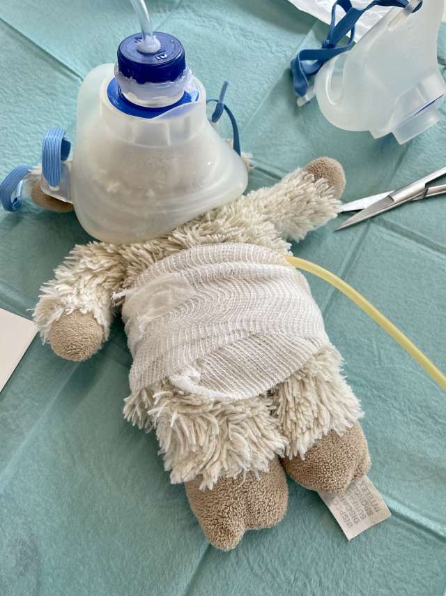 Teddybärspital – Auf Visite bei Dr. Ted