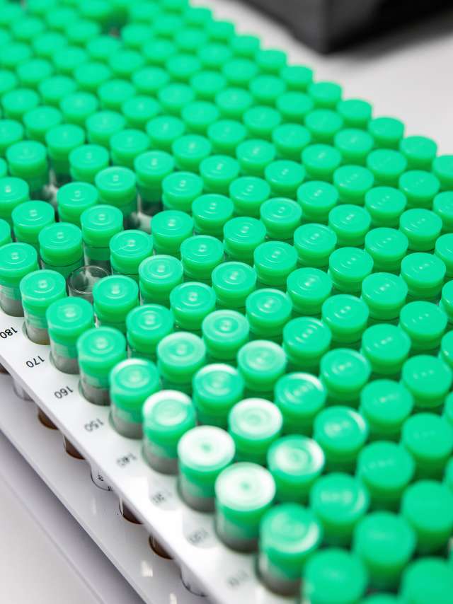 Finanzierung für ZLM Forschungsprojekt