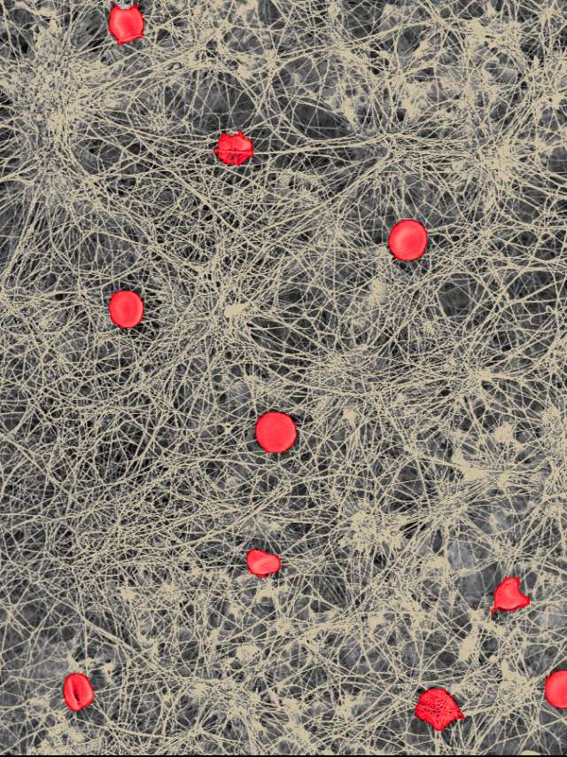 St.Gallen ist am Puls der Nanomedizin